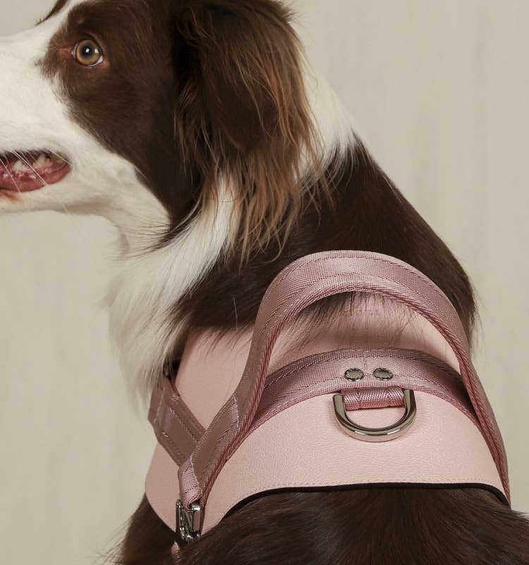 Hozi - Saddle Harness : Pink