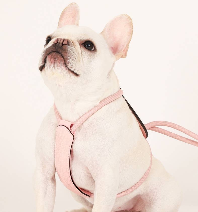 Hozi - Essential Harness - Pink Image