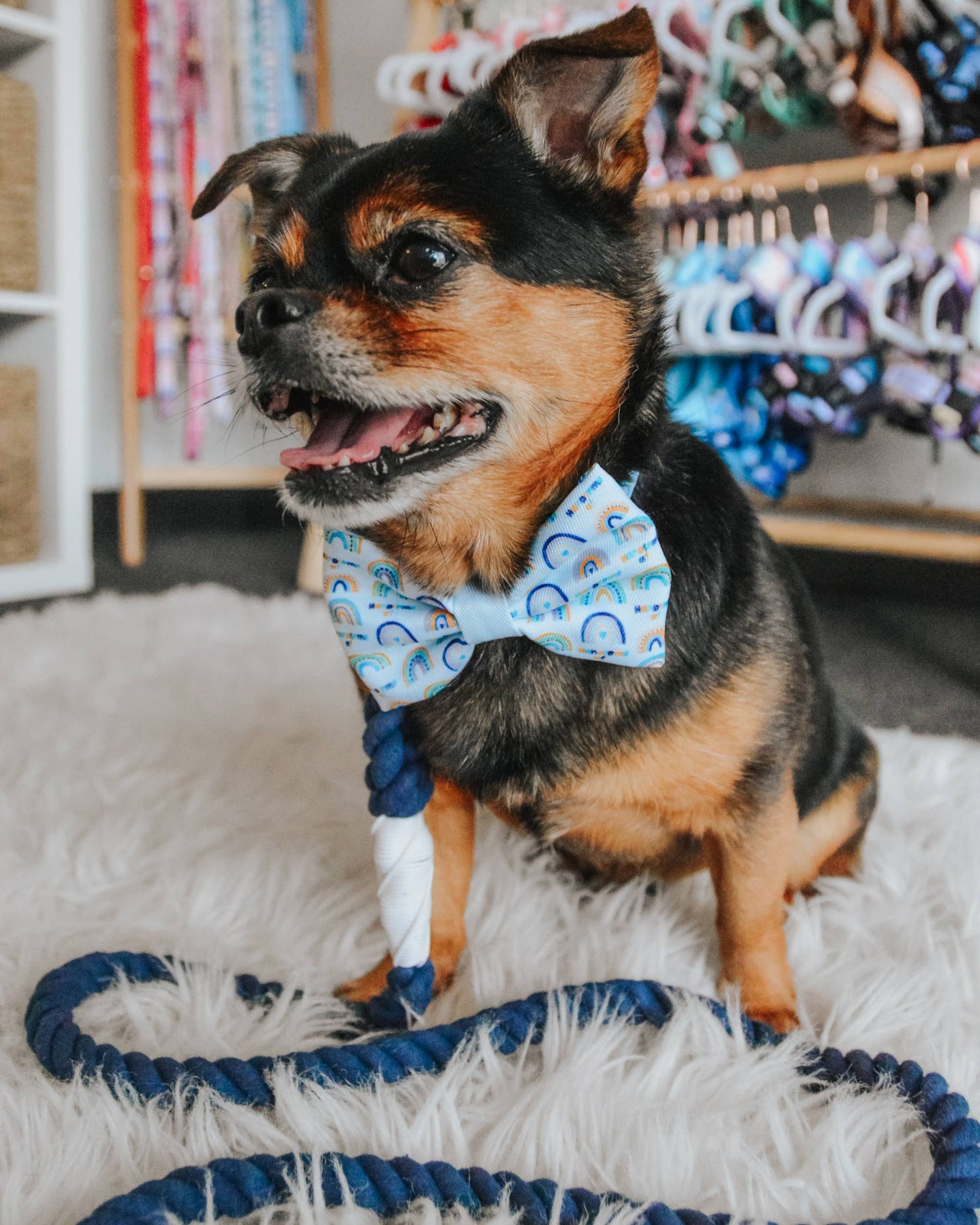 SASSY WOOF - Dog Rope Leash - Nautical Image