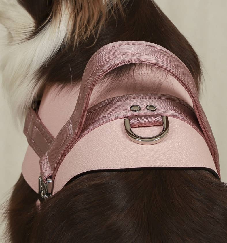 Hozi - Saddle Harness : Pink