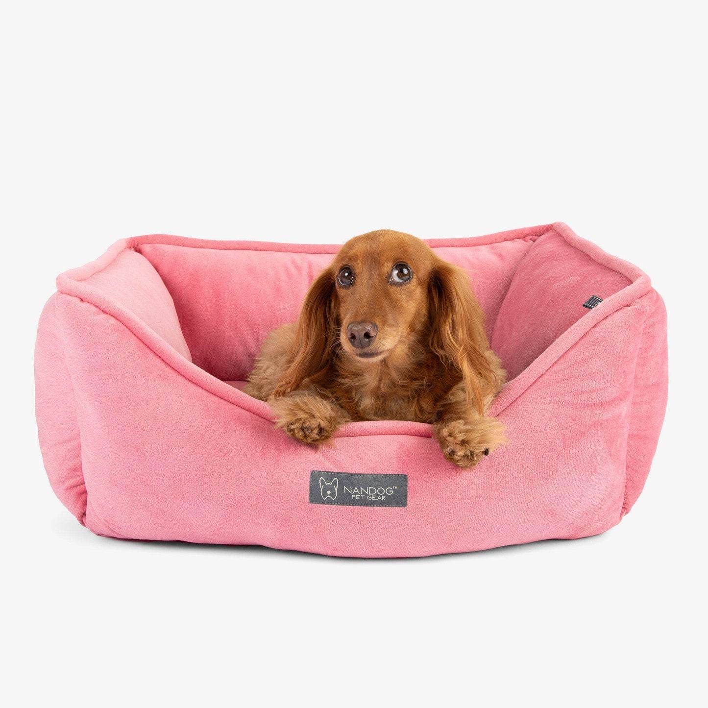 Nandog Pet Gear - Signature Bed in Electric Pink Small Image