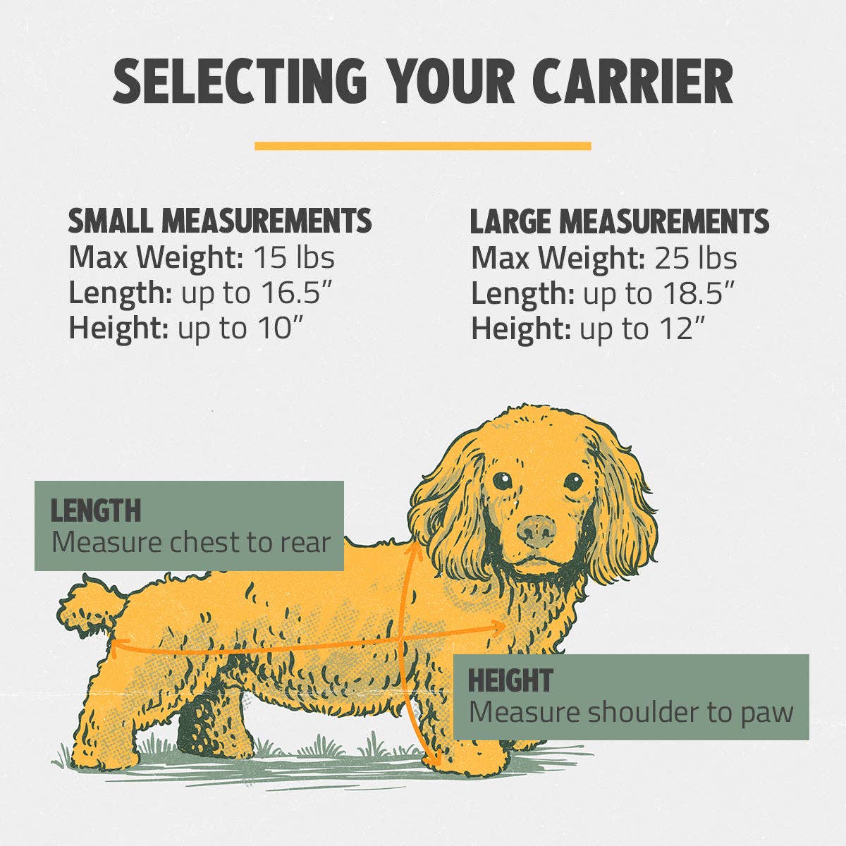 ROVERLUND - OUT-OF-OFFICE PET CARRIER PRO EDITION