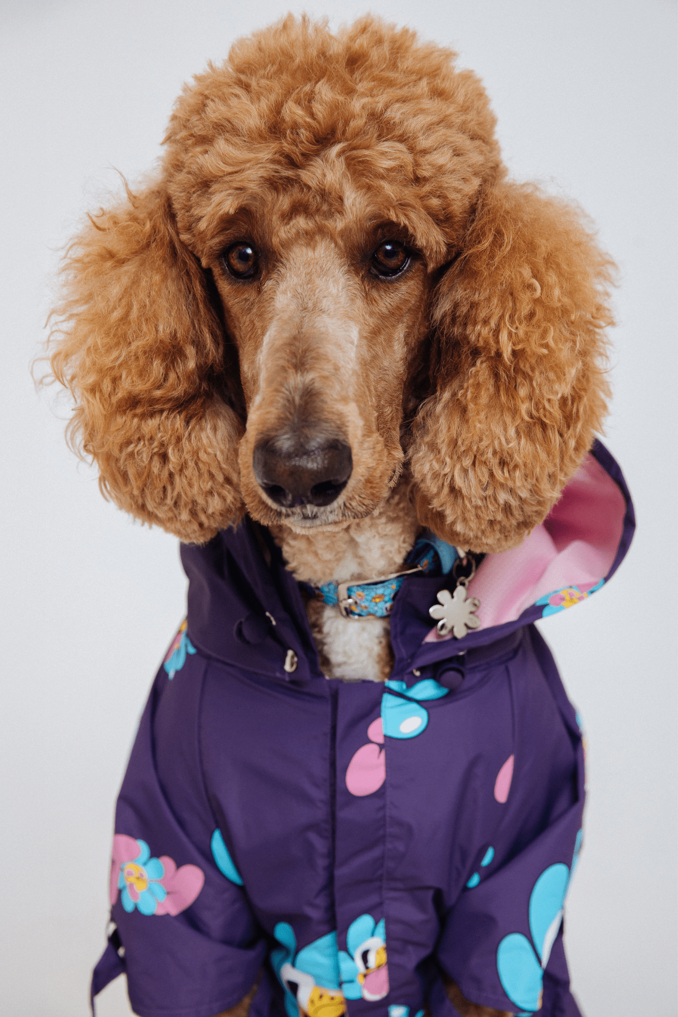 maxbone - Marc Jacobs x Hattie Stewart Raincoat Image