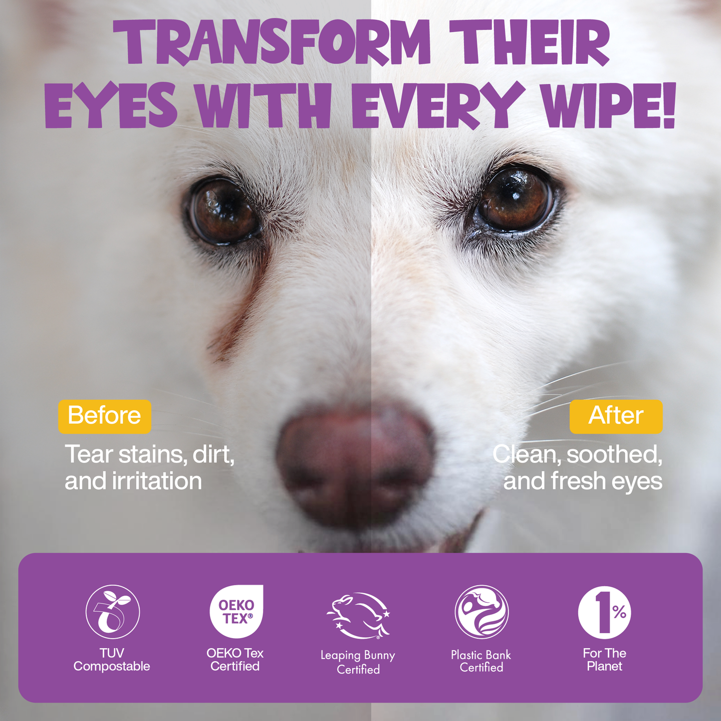 Roofus - Roofus Dog Eye Wipes | Fragrance Free | 100ct Image