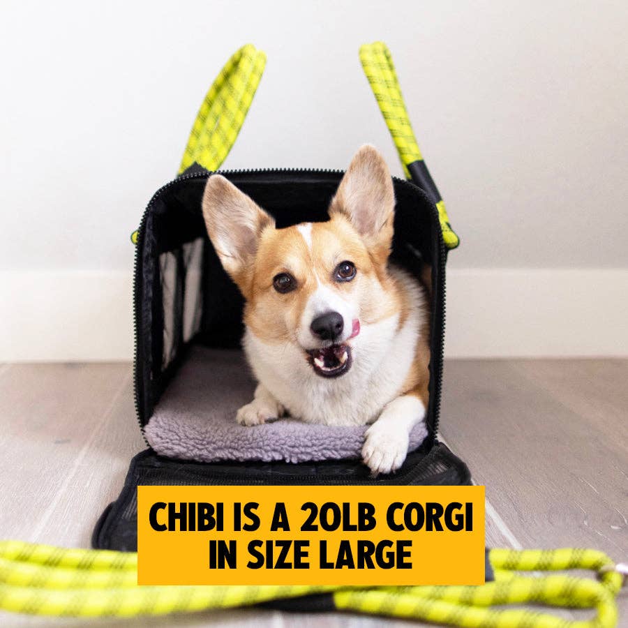 ROVERLUND - OUT-OF-OFFICE PET CARRIER PRO EDITION