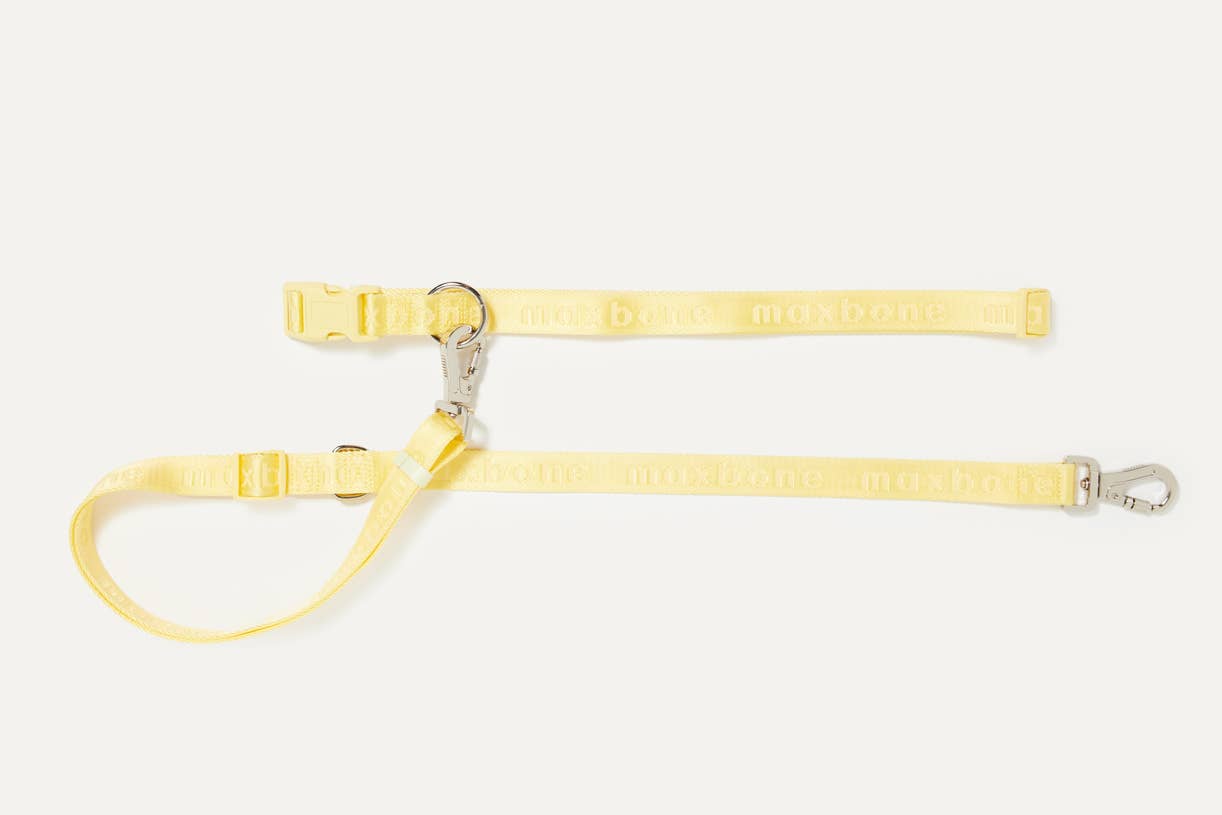 maxbone - GO! With Ease Hands-Free Leash for Dogs Image