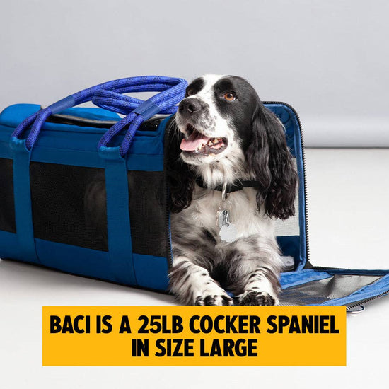 ROVERLUND - OUT-OF-OFFICE PET CARRIER PRO EDITION