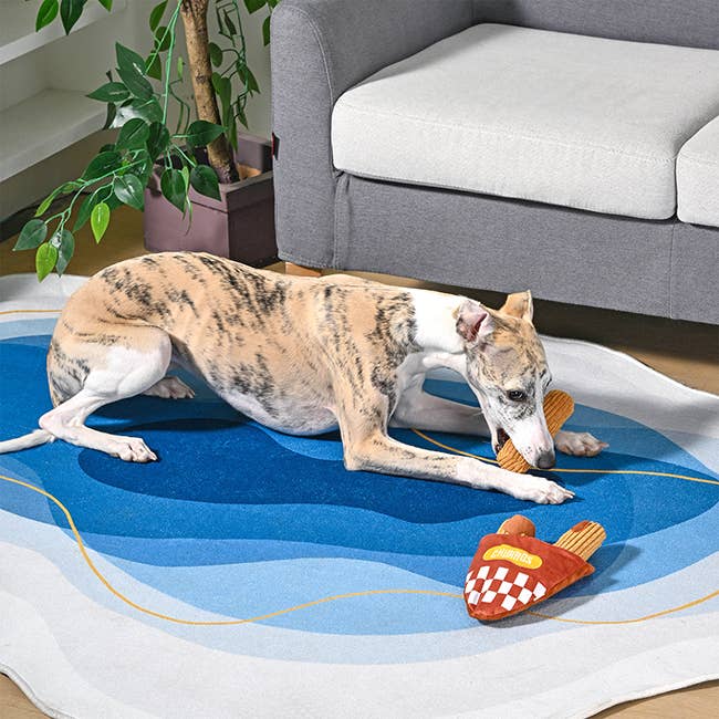 Hugsmart Products Inc - HugSmart Pet - Food Party | Churros - Interactive Toy Image