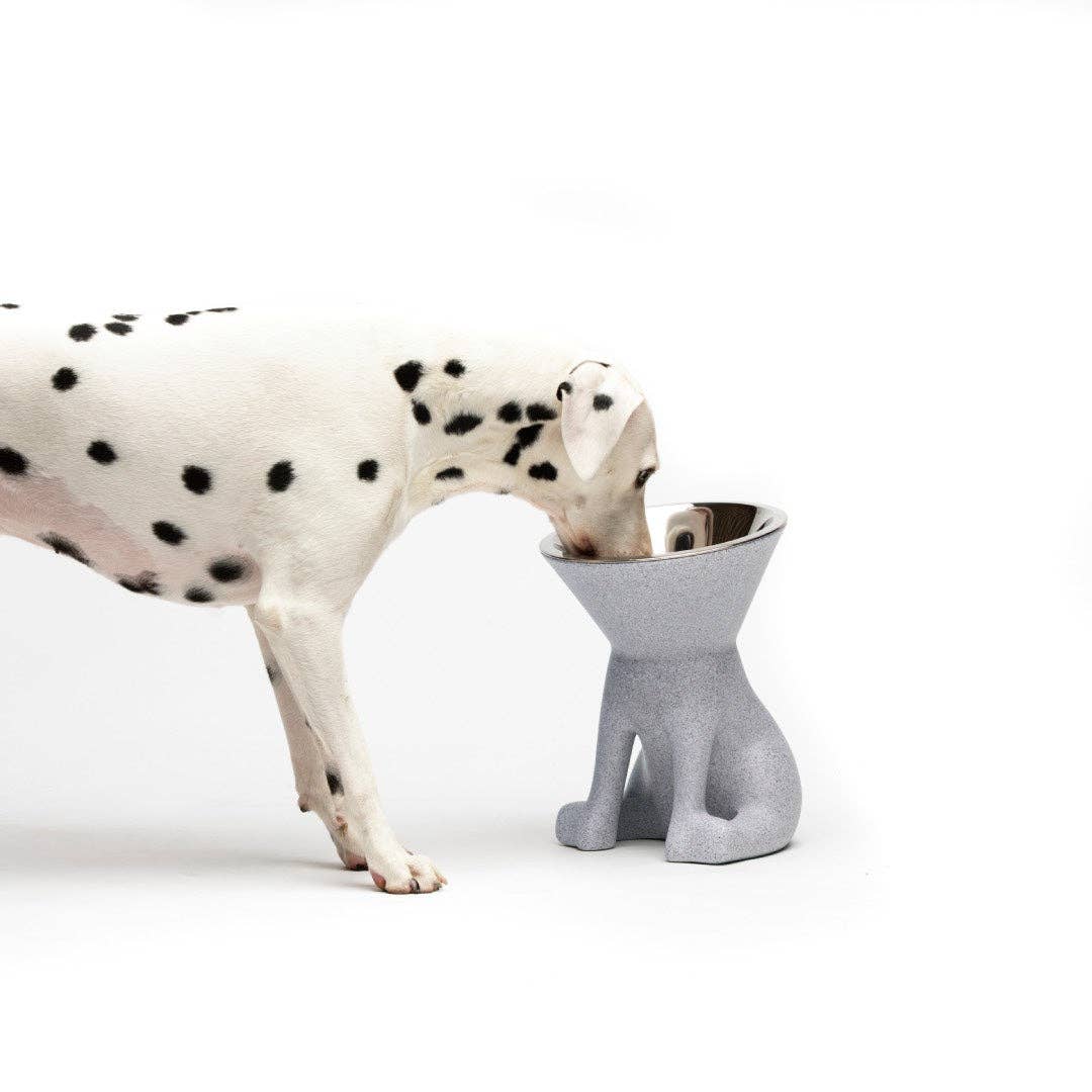 Puppy Gallery - ELIZABETH - The Queen of Dog Bowl Image