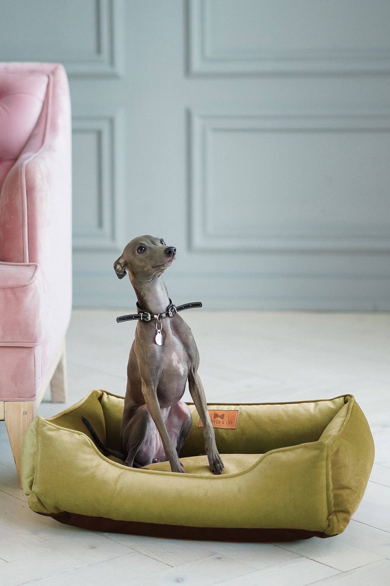 Chester & Lee - Vibrant Velvet Sleeper Dog Bed Olive Image