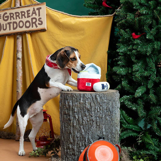 BARK Sub-Zero Camping Hero Image