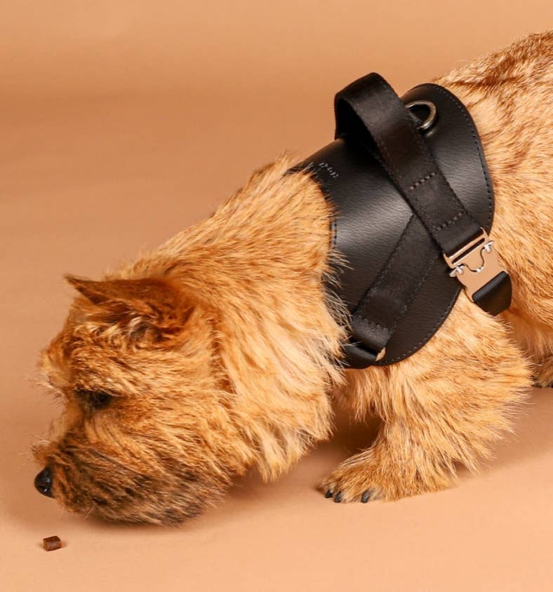 Hozi - Saddle Harness - Black Image