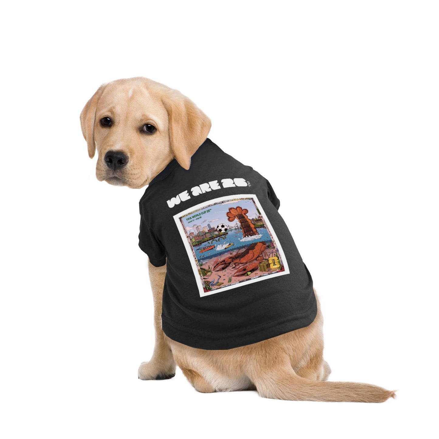Little Earth Productions - 2026 FIFA World Cup Host City Pet T-Shirt Image