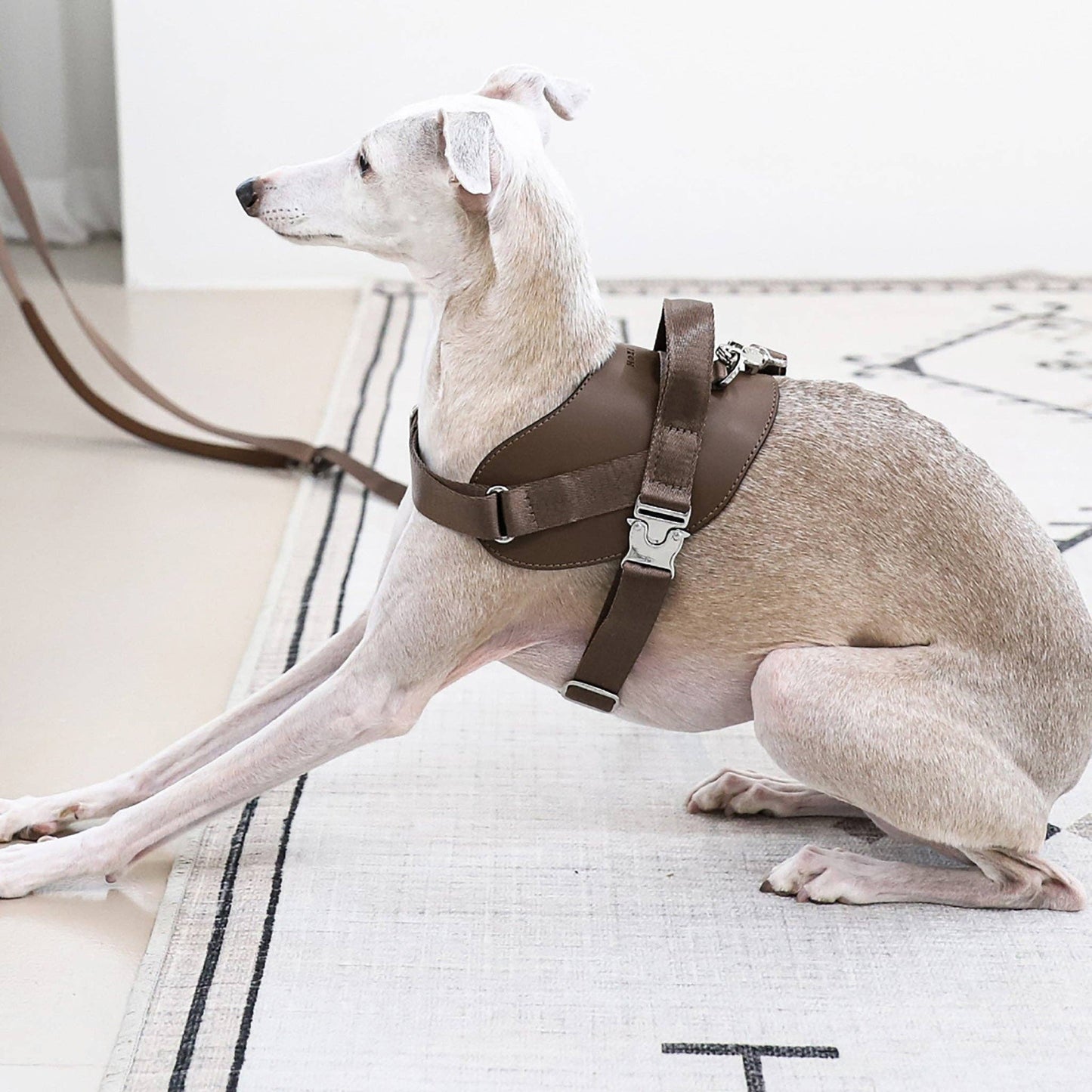 Hozi - Saddle Harness : Pink Image