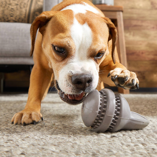 BARK Hare Raiser Rabbit Rubber Super Chewer Dog Toy Grey Med Image