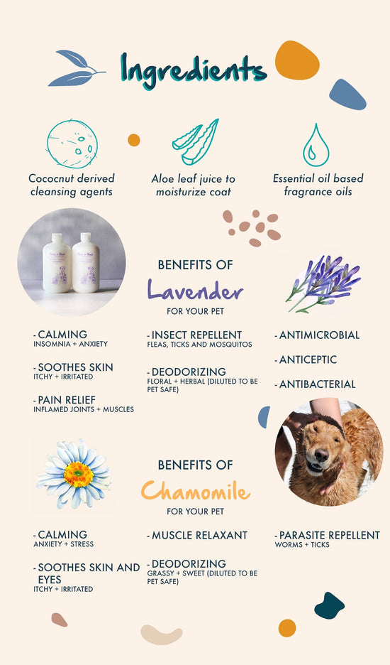 Pure + Good - Dog & Cat Shampoo: Lavender + Chamomile Image