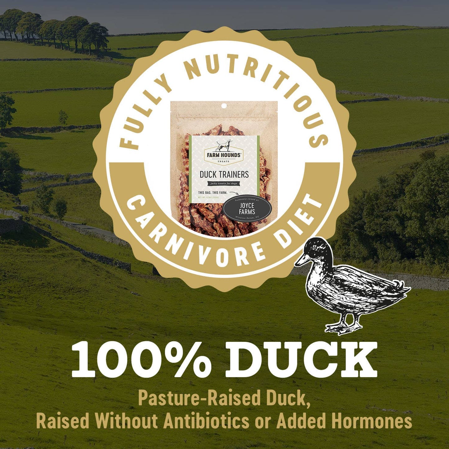 Farm Hounds - Duck Trainer - All-Natural Dog Treats - 4.5oz Image