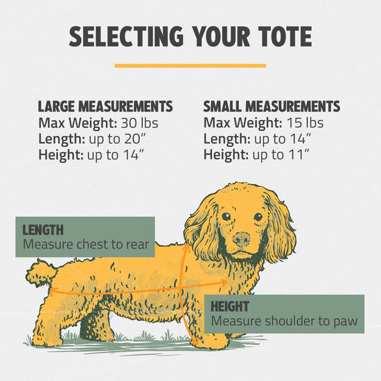 Load image into Gallery viewer, ROVERLUND - OUT-AND-ABOUT PET TOTE PRO EDITION  Image
