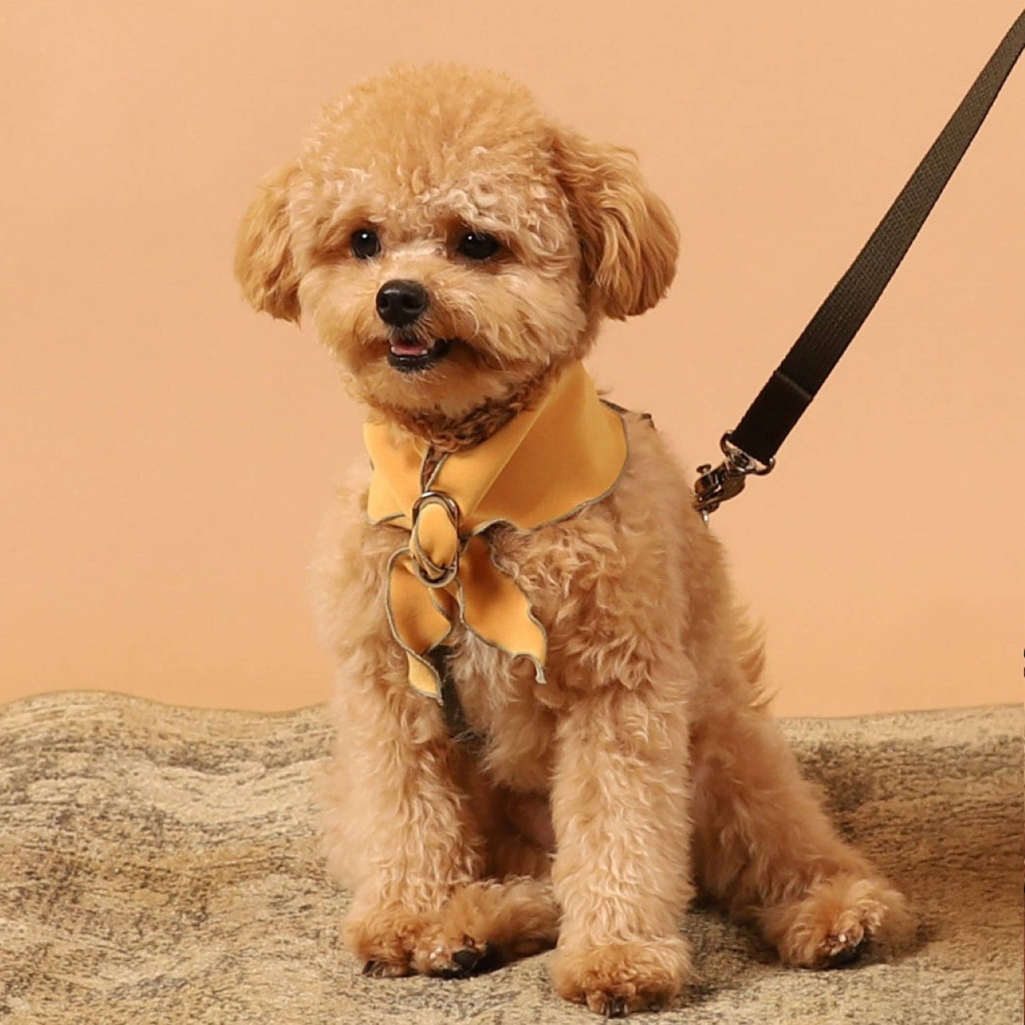 Hozi - Doggie Scarf : Mustard Image