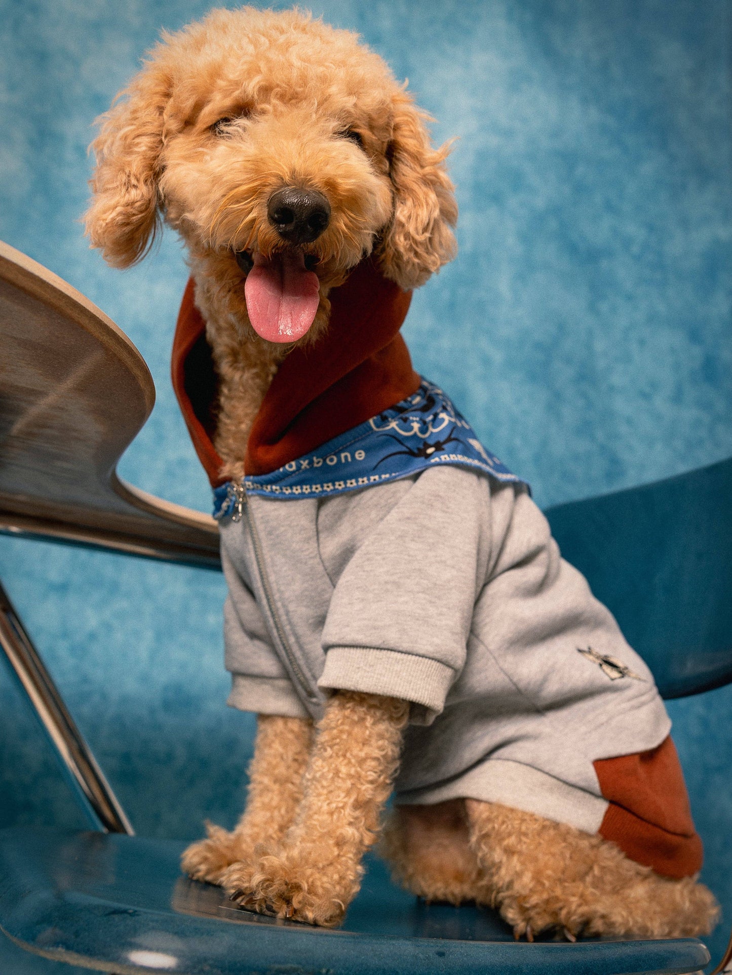 maxbone - Stranger Things x maxbone Signature Dog Hoodie