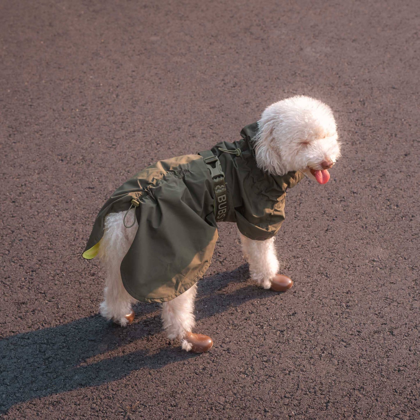 Pups & Bubs - Lumi Raincoat Image