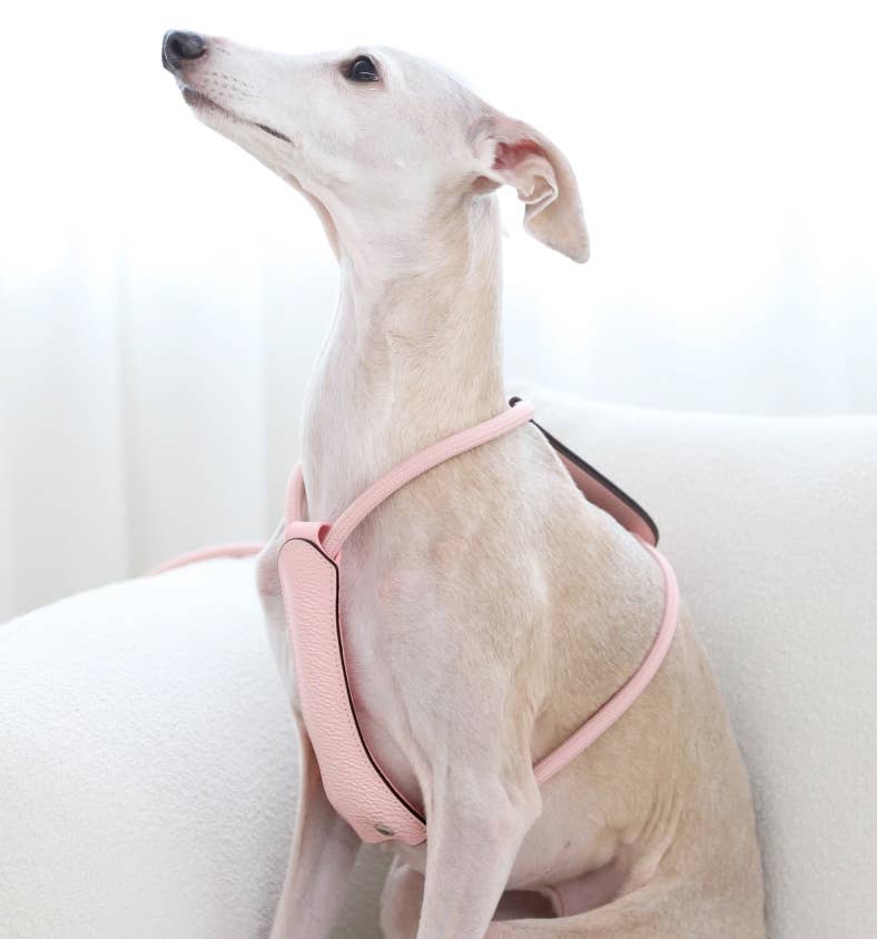 Hozi - Essential Harness - Pink Image