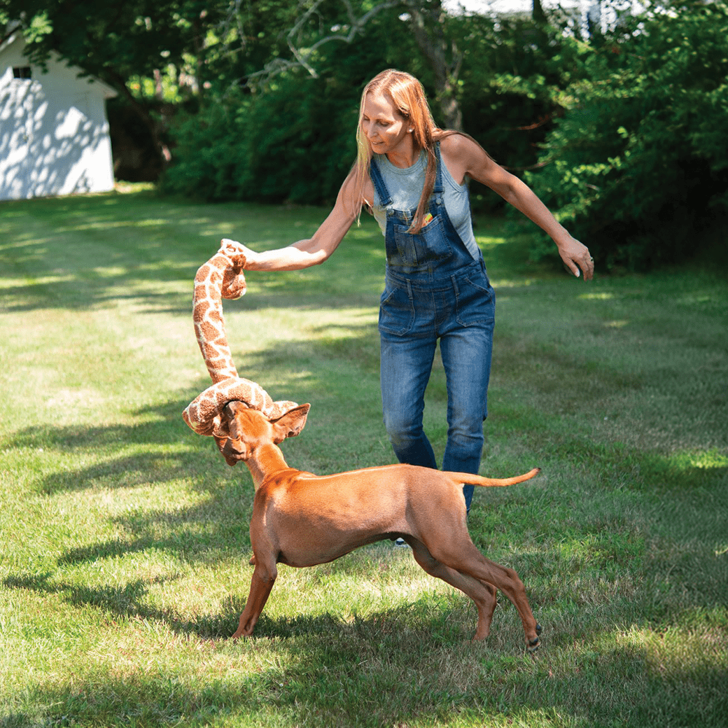 fabdog - Twisty Giraffe Image