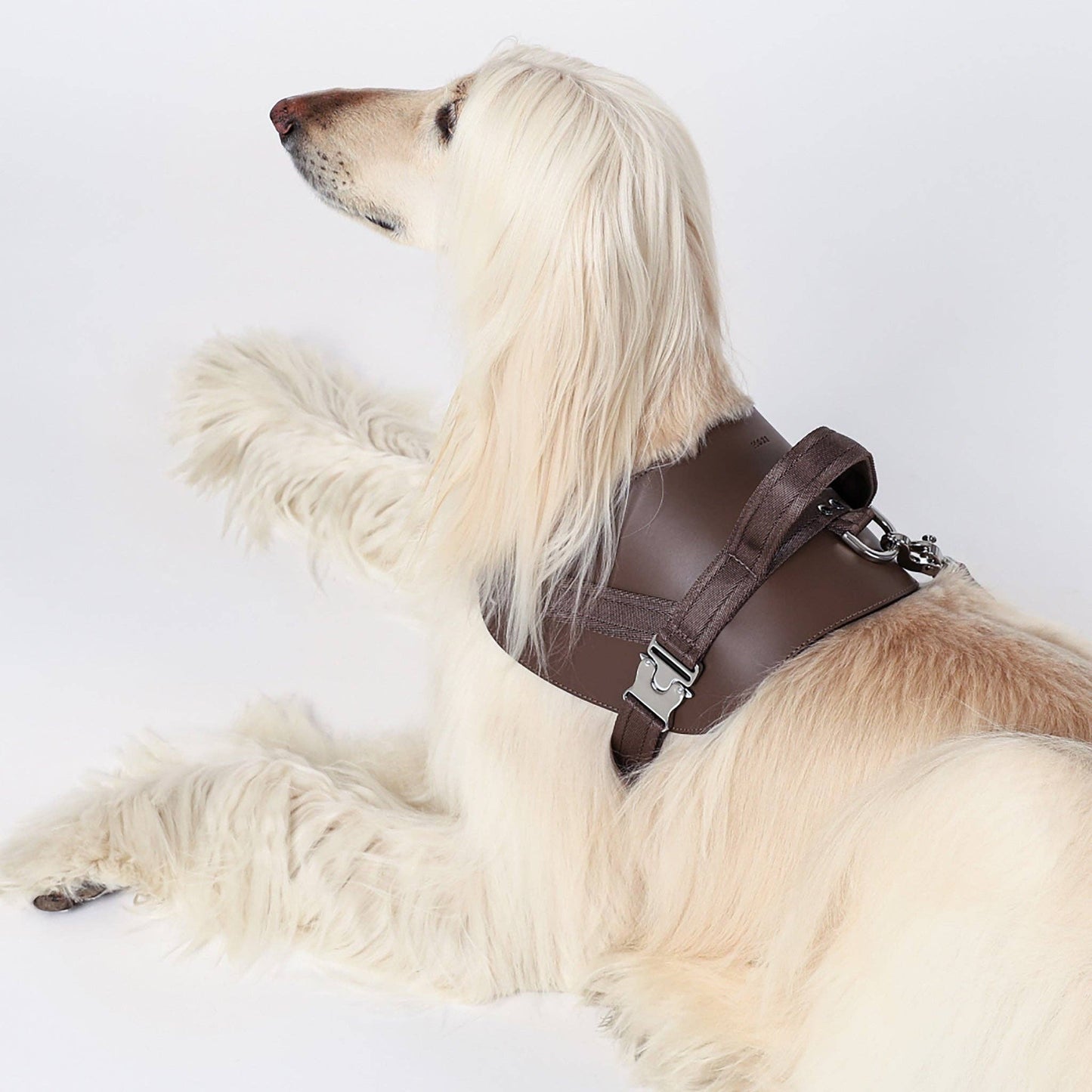 Hozi - Saddle Harness : Pink Image