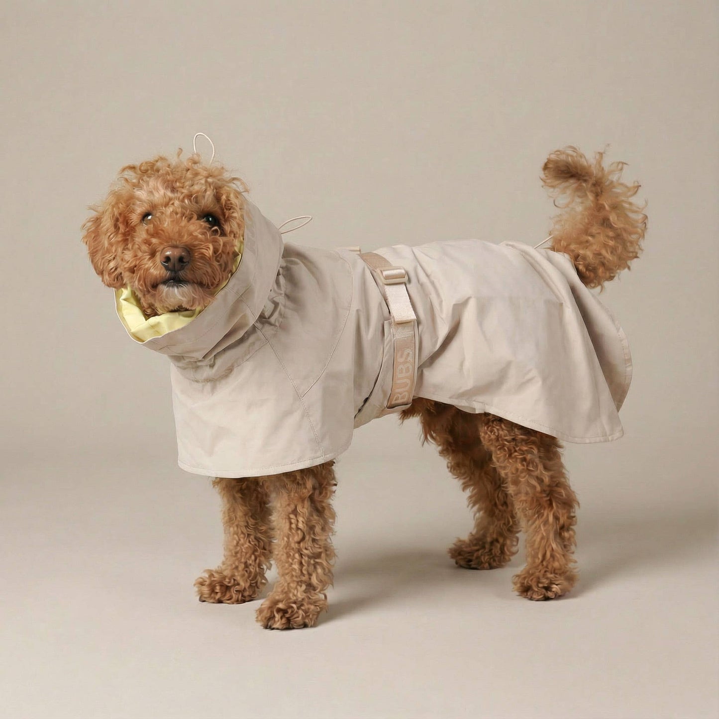 Pups & Bubs - Lumi Raincoat Image