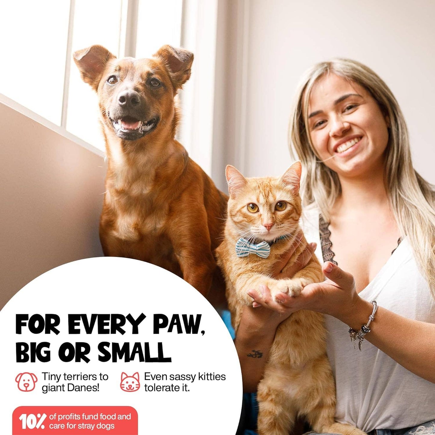 Roofus - Roofus - Foaming Paw Cleanser - Unscented - 1 Pack Image