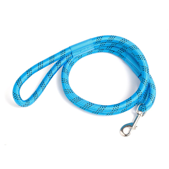 ROVERLUND - OUT-OF-OFFICE PET CARRIER PRO EDITION