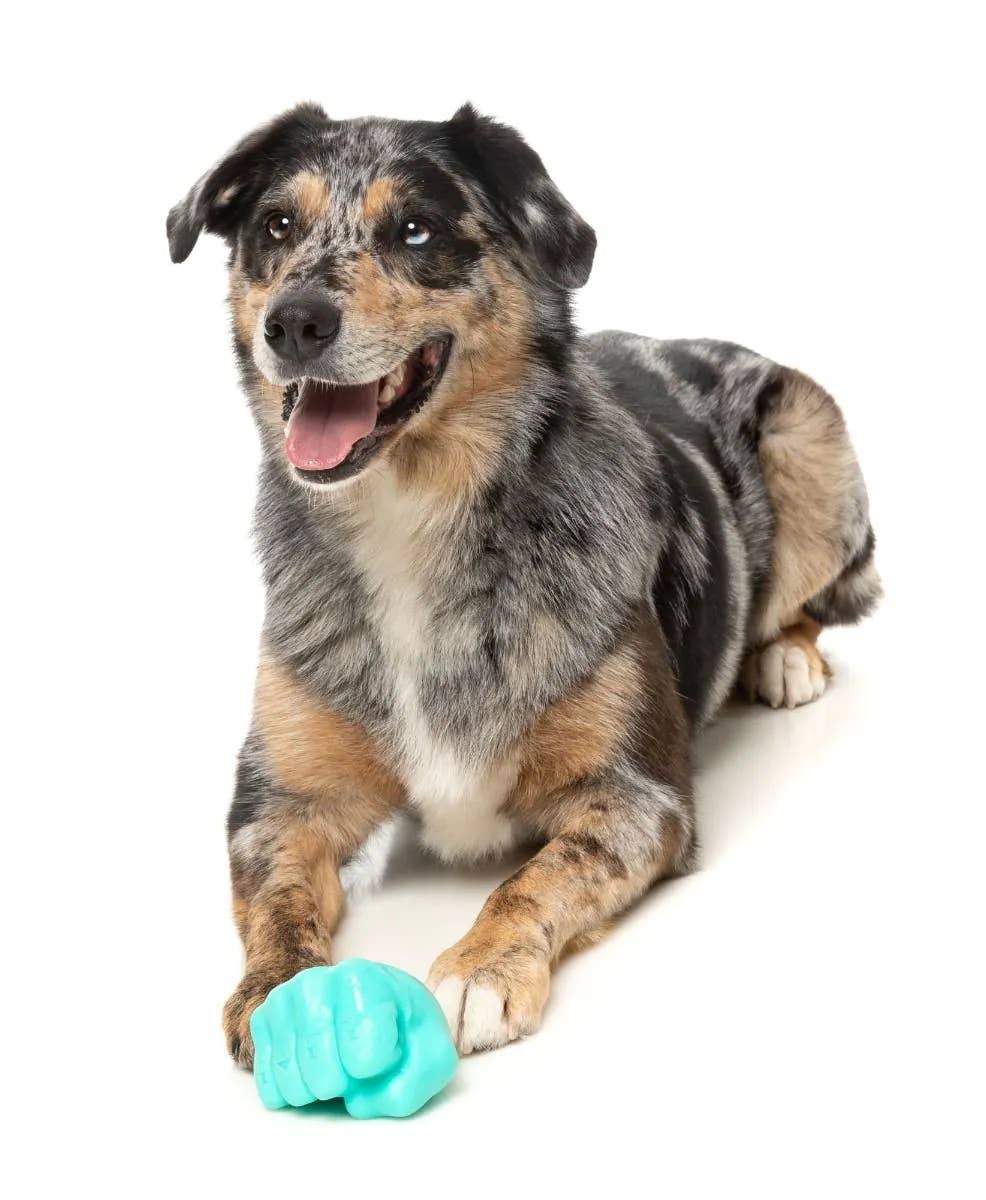 FuzzYard Knuckle Sandwich Dog Chew Toy Image