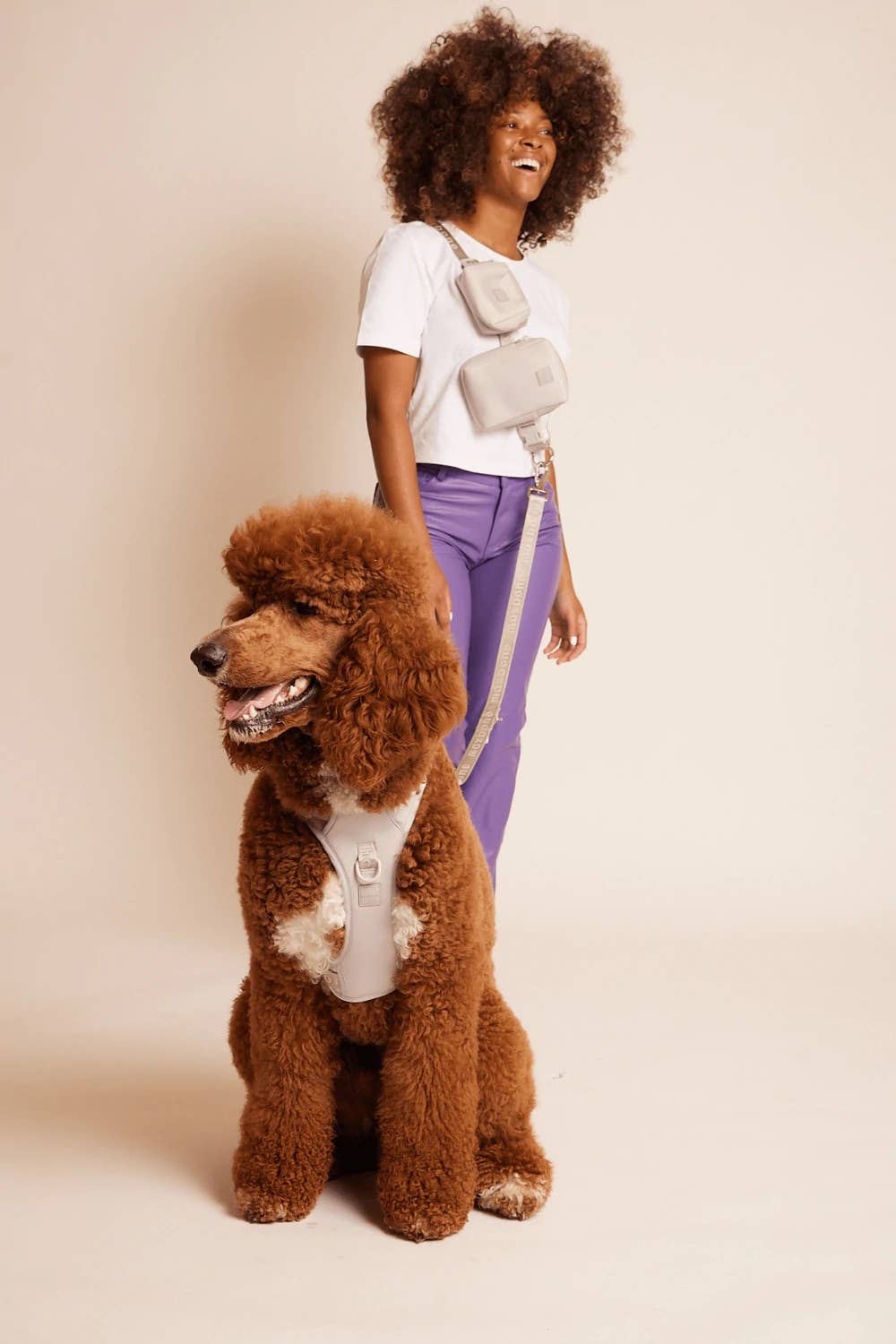 maxbone - GO! With Ease Hands-Free Leash for Dogs Image