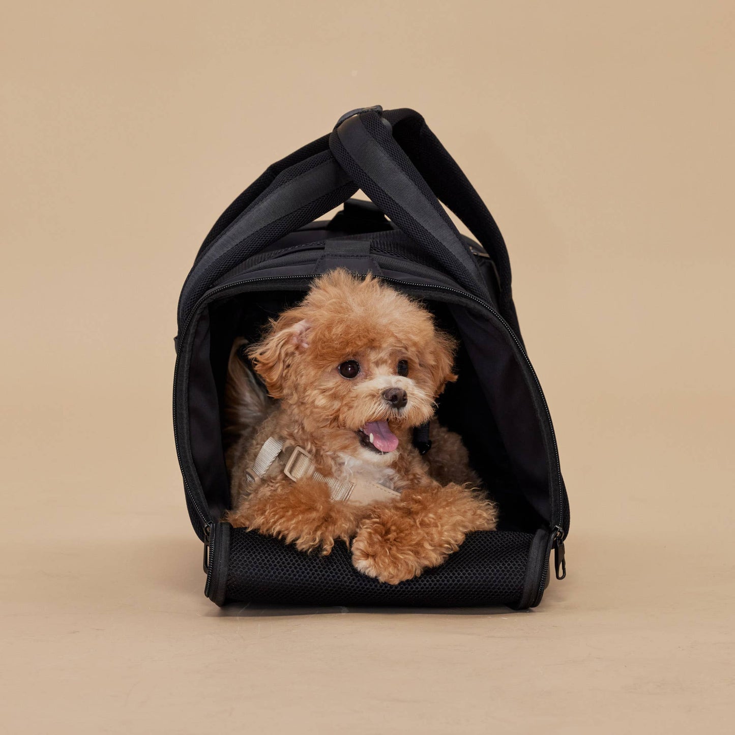 Pups & Bubs - Onboard Travel Pet Carrier (Airline Compliant) Image