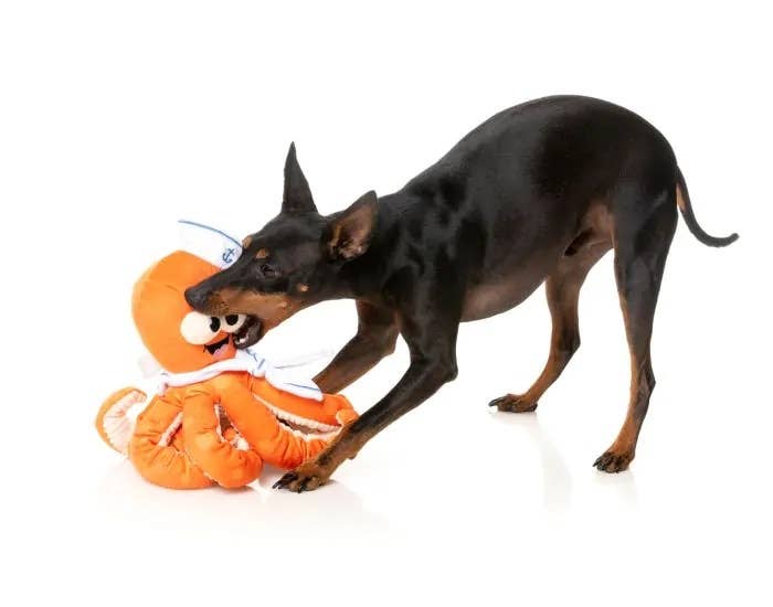 FuzzYard Sailor Squiggles Image