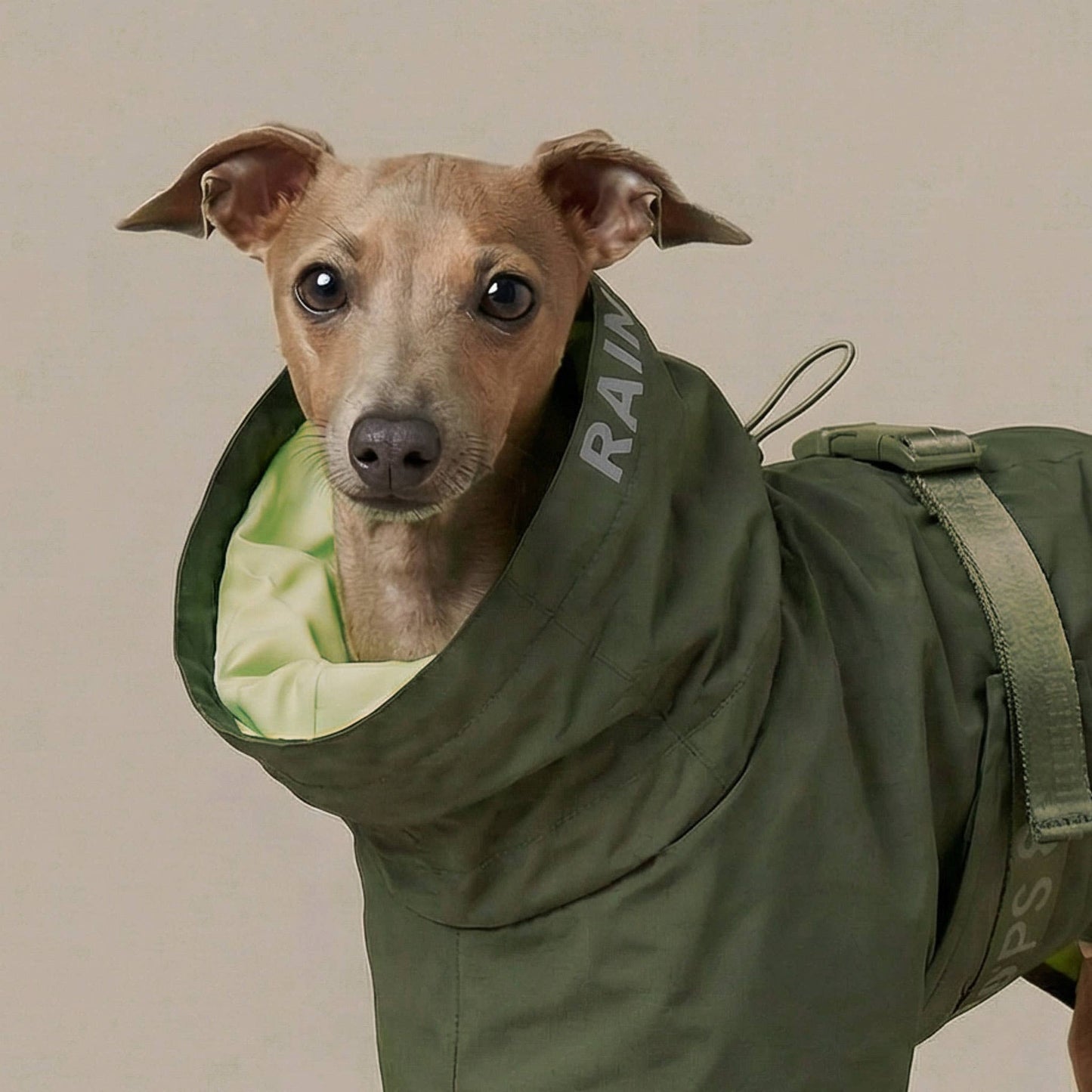 Pups & Bubs - Lumi Raincoat Image