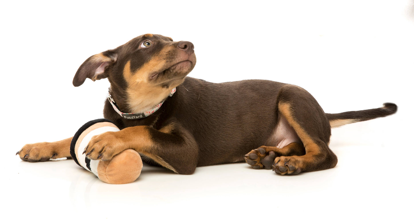 FuzzYard Dog Toy Puppuccino  Image