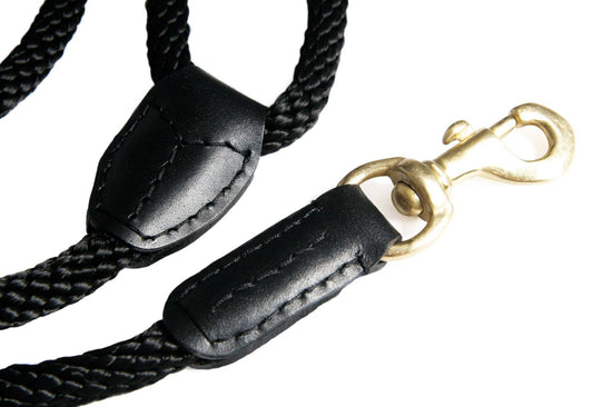 Alvalley - Rope and Leather Snap Lead Image