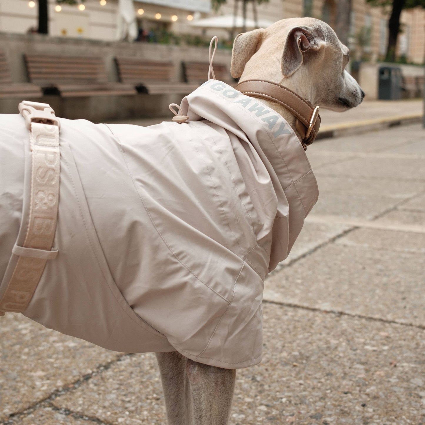 Pups & Bubs - Lumi Raincoat Image