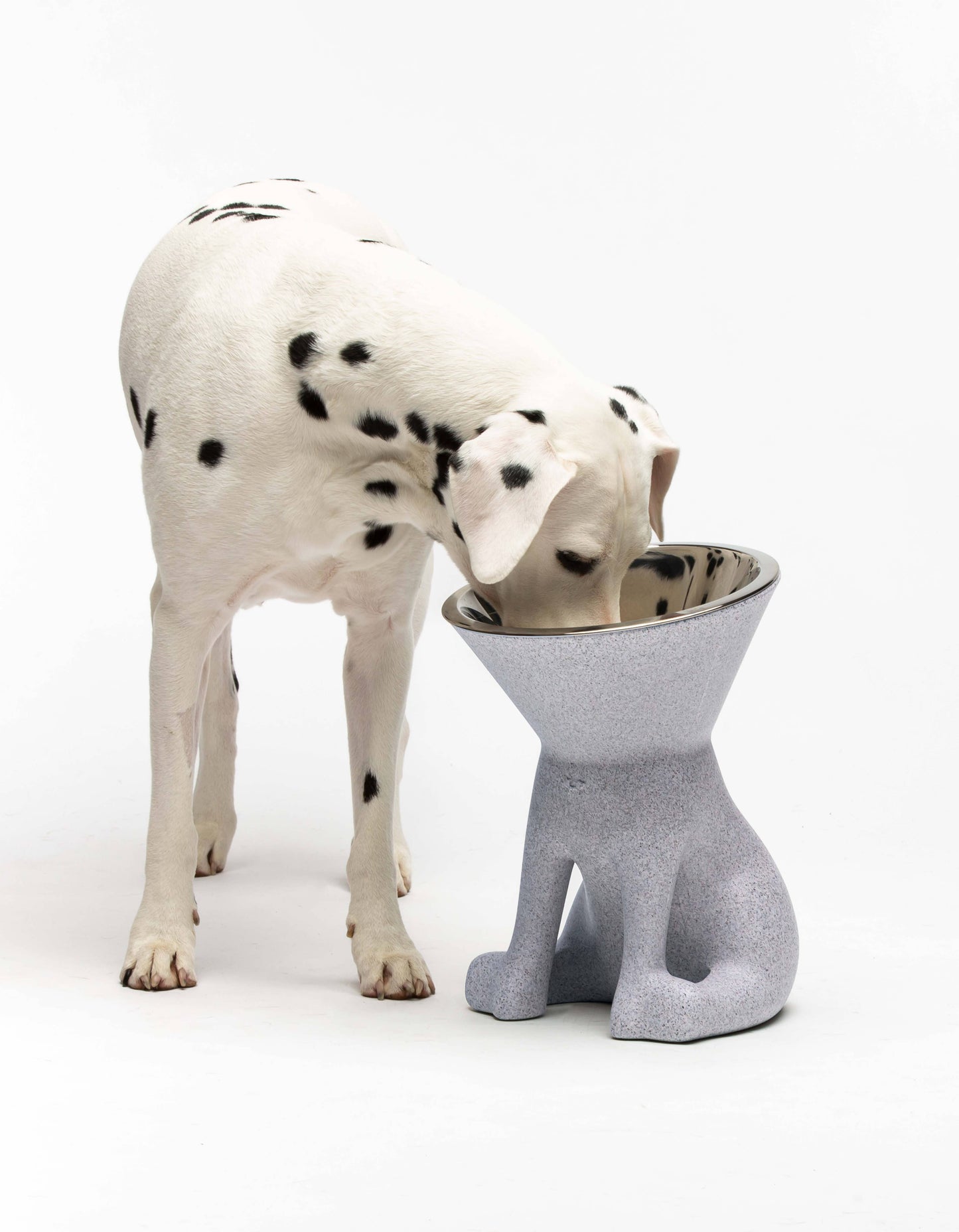 United Pets - Elizabeth: raised dog bowl