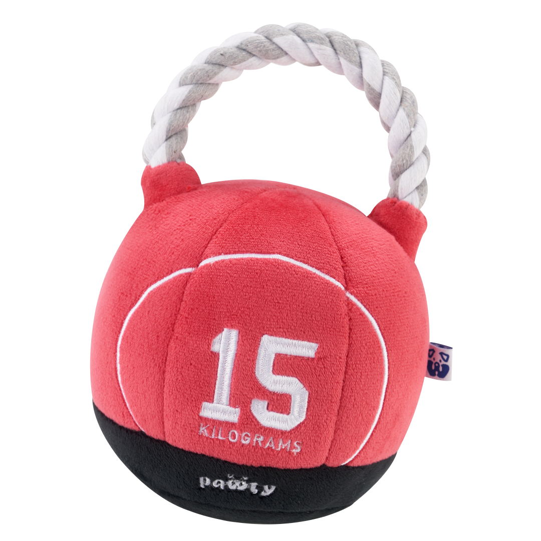 Diggs - Revol Collapsible Dog Crate