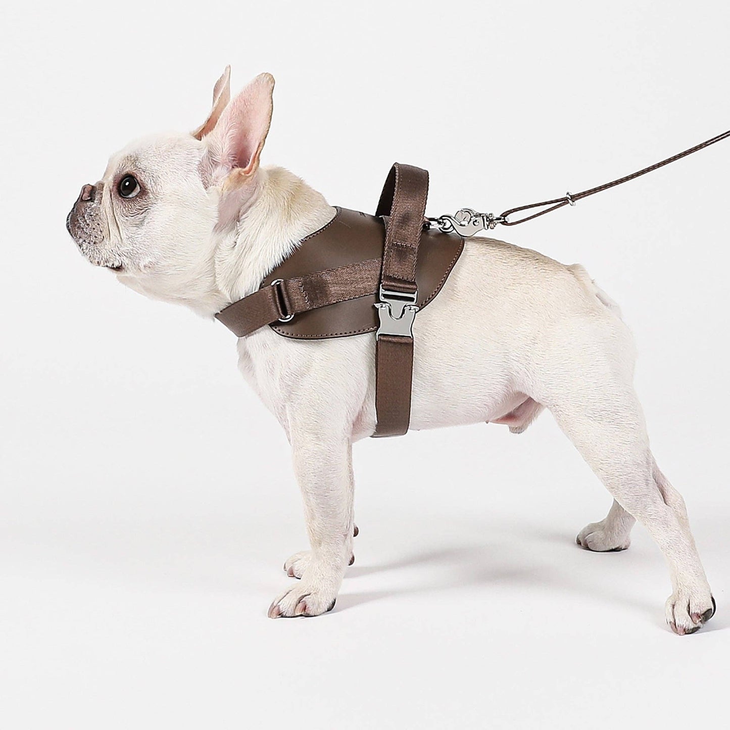Hozi - Saddle Harness : Pink Image