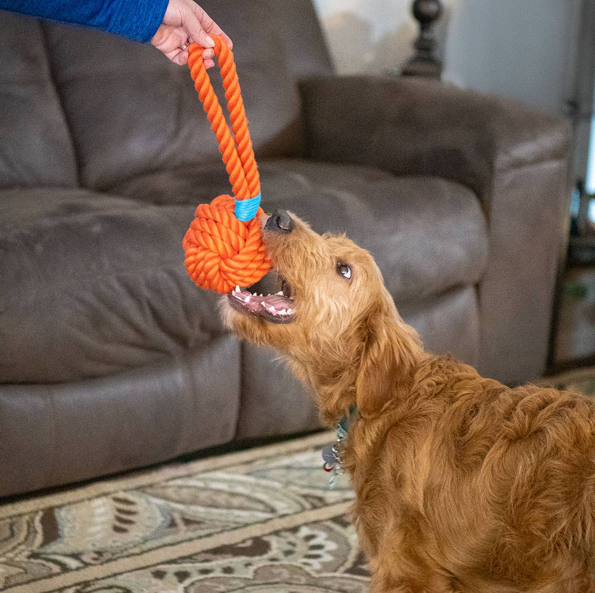 ThoozyPet Ball Tug Rope Dog Toy with Handle Orange 5" Image