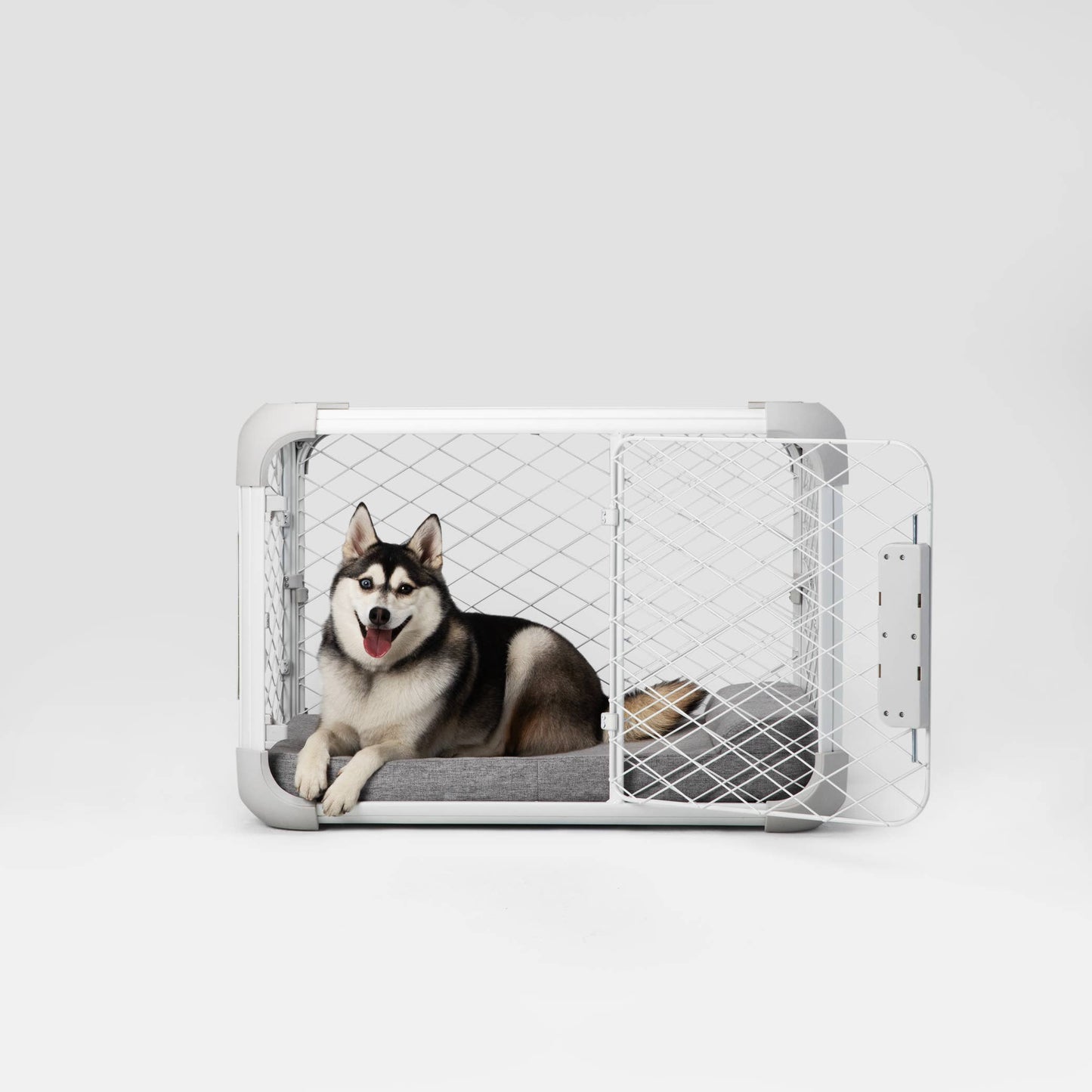 Diggs Evolv Dog Crate The Dog Bar