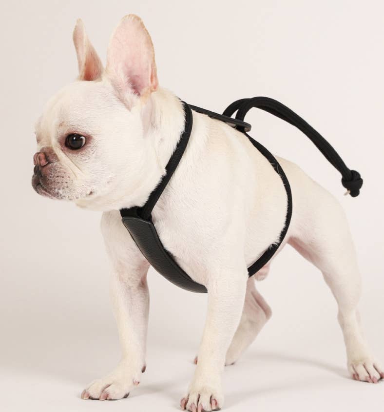 Hozi - [NEW] Essential Harness - Black Image