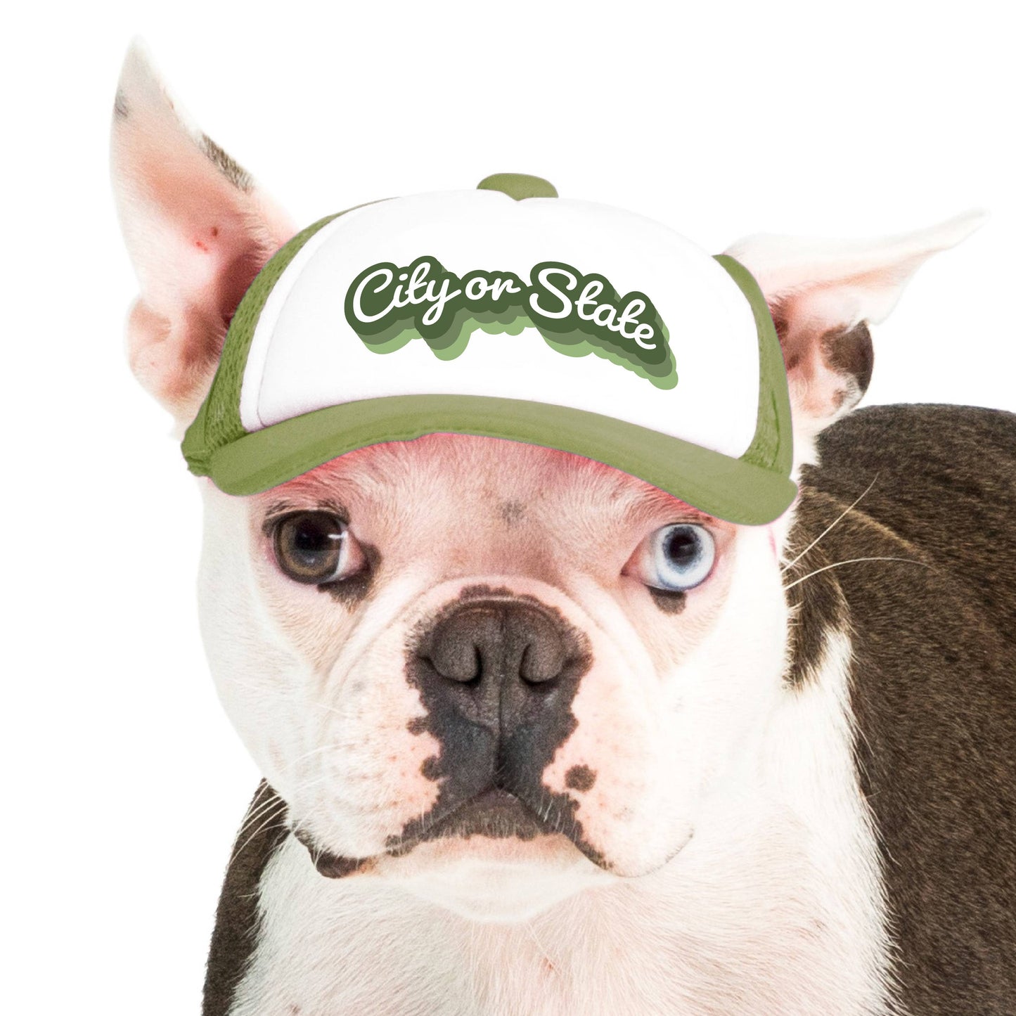 PupLid - Custom Retro Text | Trucker Hat for Dogs Image