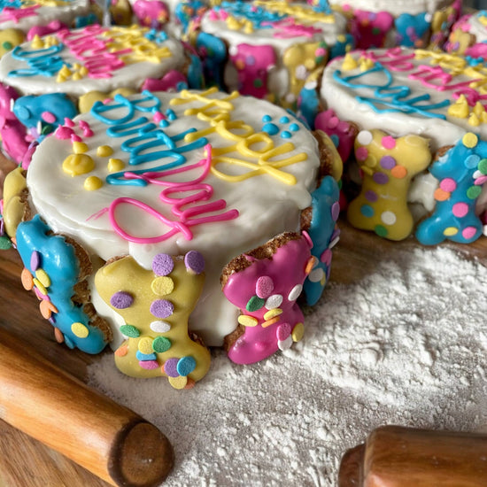 YumYum4DOGS - Confetti Mini Bones birthday doggie cake treats Image