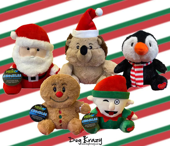 Caitec Inc - Chuckles Holiday Elf Plush Dog Toy Image