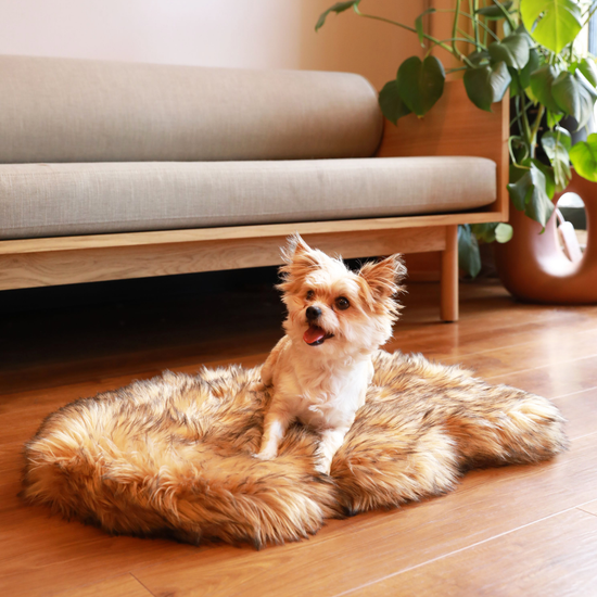 Paw Brands - PupRug by Paw.com™ Faux Fur Orthopedic Dog Bed - Curve Sable Tan Small (30" L x 20" W) Image