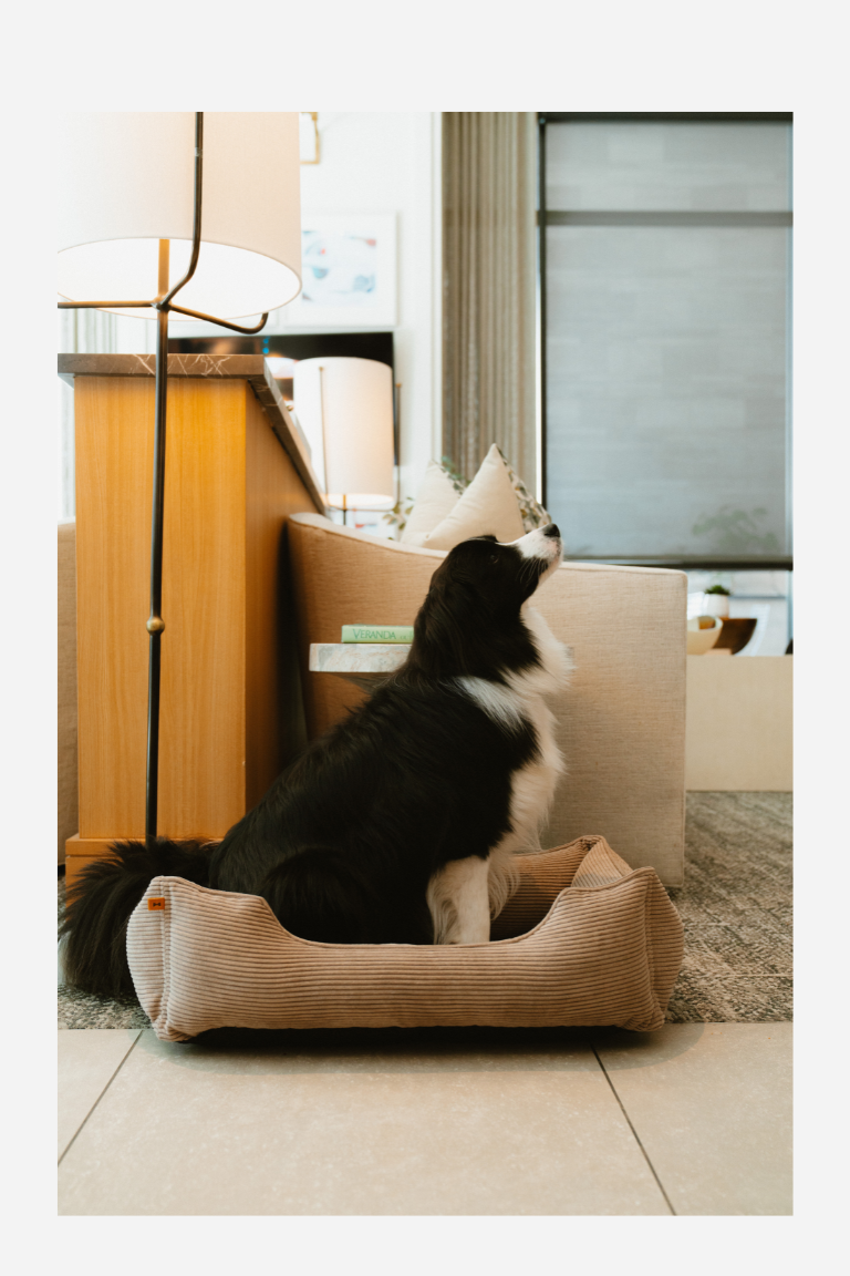 Chester & Lee - Fancy Corduroy Sleeper Dog Bed Taupe Image